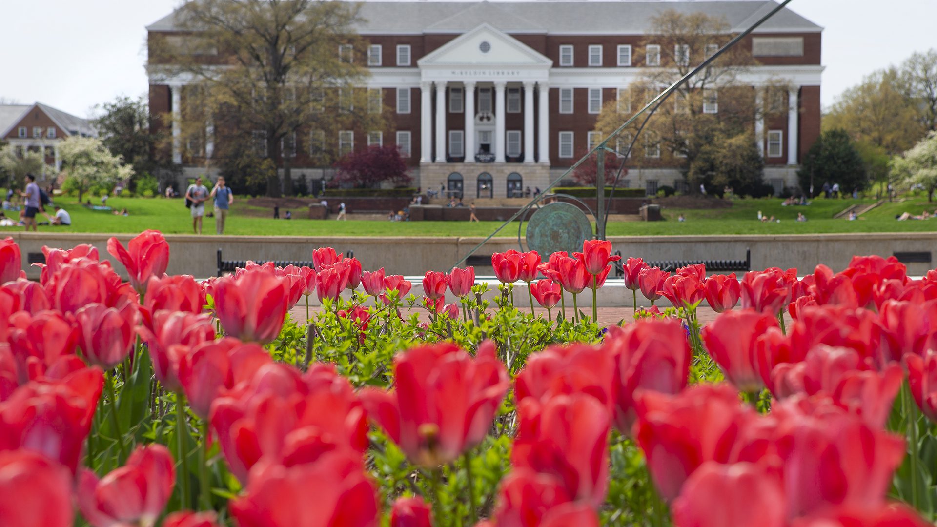 Three Professors Names to National Academy of Sciences